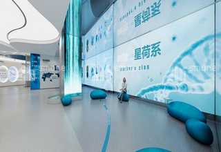 徐汇区转弯皮带机哪种好