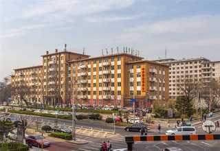 浙江宠物猫用品物流运输哪家靠谱