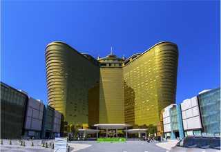 常用绿植租赁业务